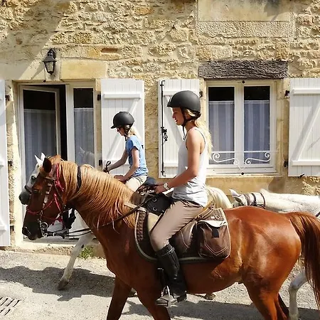 Au Pied Du Chateau - 5 A 11 Personnes - Baignade-canoe-piste Cyclable A 100 M Dom wakacyjny Castelnaud La Chapelle